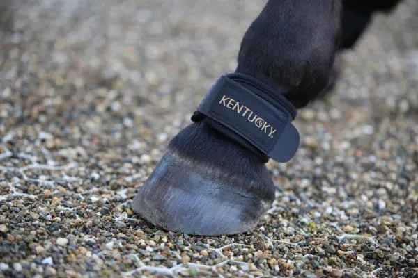 Pastern Wrap