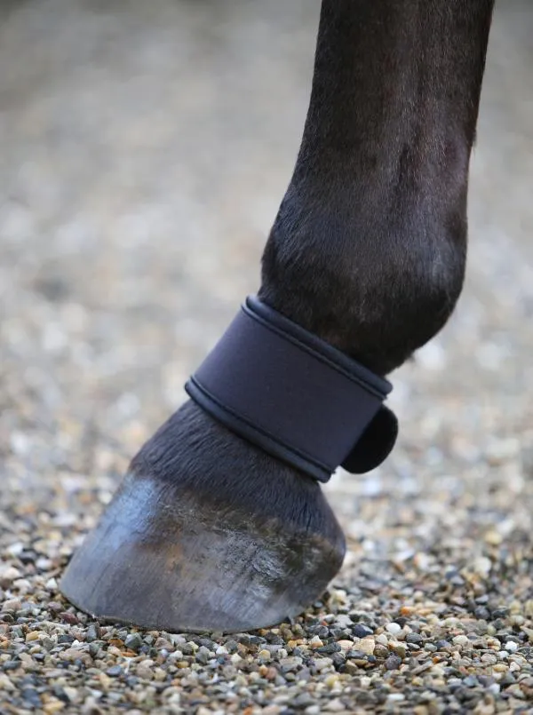 Pastern Wrap